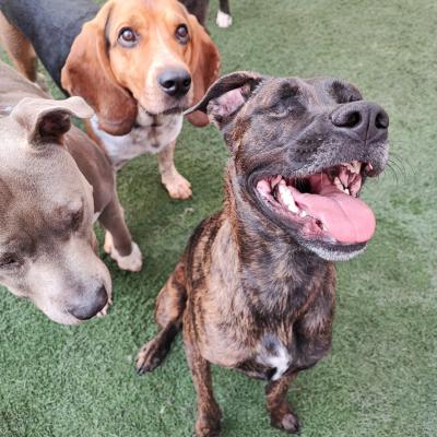 Whatsapp Image 2023 10 07 At 12.32.01 Pm 2