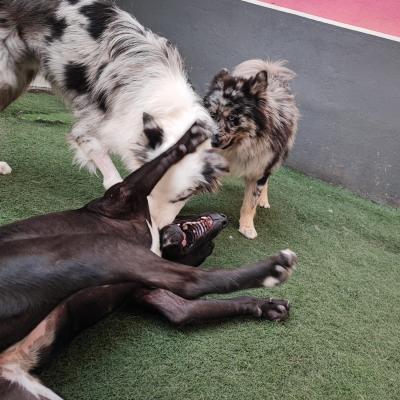 Whatsapp Image 2023 10 07 At 12.32.02 Pm 1