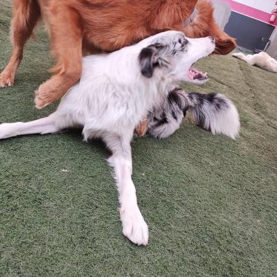 Whatsapp Image 2023 10 07 At 12.32.02 Pm 2