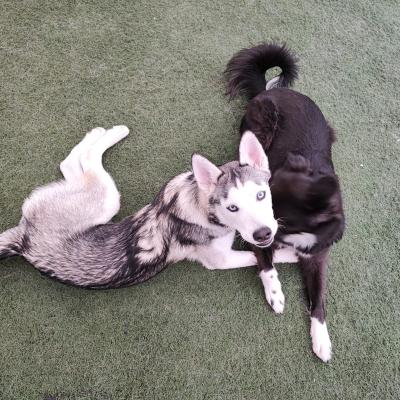 Whatsapp Image 2023 10 07 At 12.32.02 Pm 3