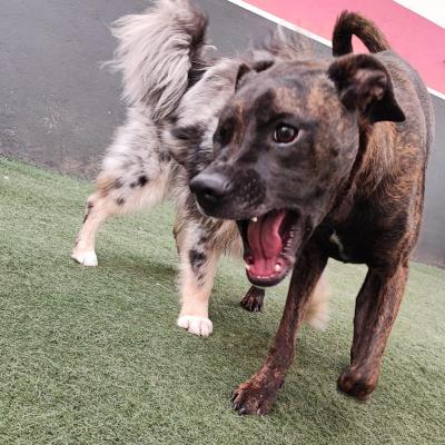 Whatsapp Image 2023 10 07 At 12.32.02 Pm