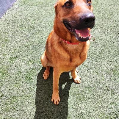 Whatsapp Image 2023 10 07 At 12.32.04 Pm