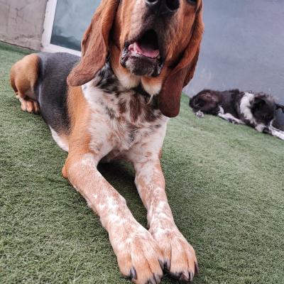 Whatsapp Image 2023 10 07 At 12.32.05 Pm 2