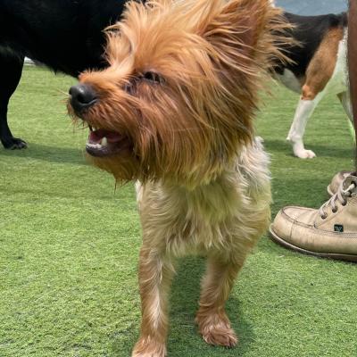 Whatsapp Image 2023 10 07 At 12.32.13 Pm 3